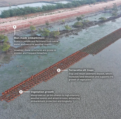 This image shows a coastal protection system with three key elements labeled: (1) Man-made embankment that protects people and farmland from saline water and extreme weather, though these structures are prone to erosion and breaches; (2) Terracotta silt traps designed to capture and retain sediment deposits, which increases land elevation and supports vegetation growth; and (3) Vegetation growth, specifically mangroves that function as bio-shields against high-intensity weather events while preventing erosion, ultimately enhancing embankment protection and longevity. The image illustrates how this integrated approach combines traditional engineering with nature-based solutions to protect vulnerable coastal areas.
