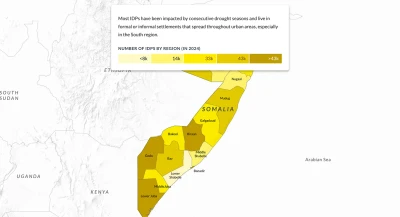 This is a scrollable storytelling section that explains the reasons and extent of forced displacement in Somalia.
