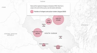 This is a scrollable storytelling section that explains the reasons and extent of forced displacement in South Sudan.
